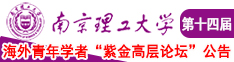 艹美女啊啊吃鸡吧南京理工大学第十四届海外青年学者紫金论坛诚邀海内外英才！